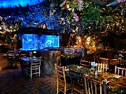 103  Rainforest Cafe Fort Lauderdale.jpg